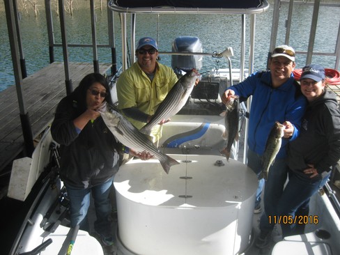 Nice Striped Bass